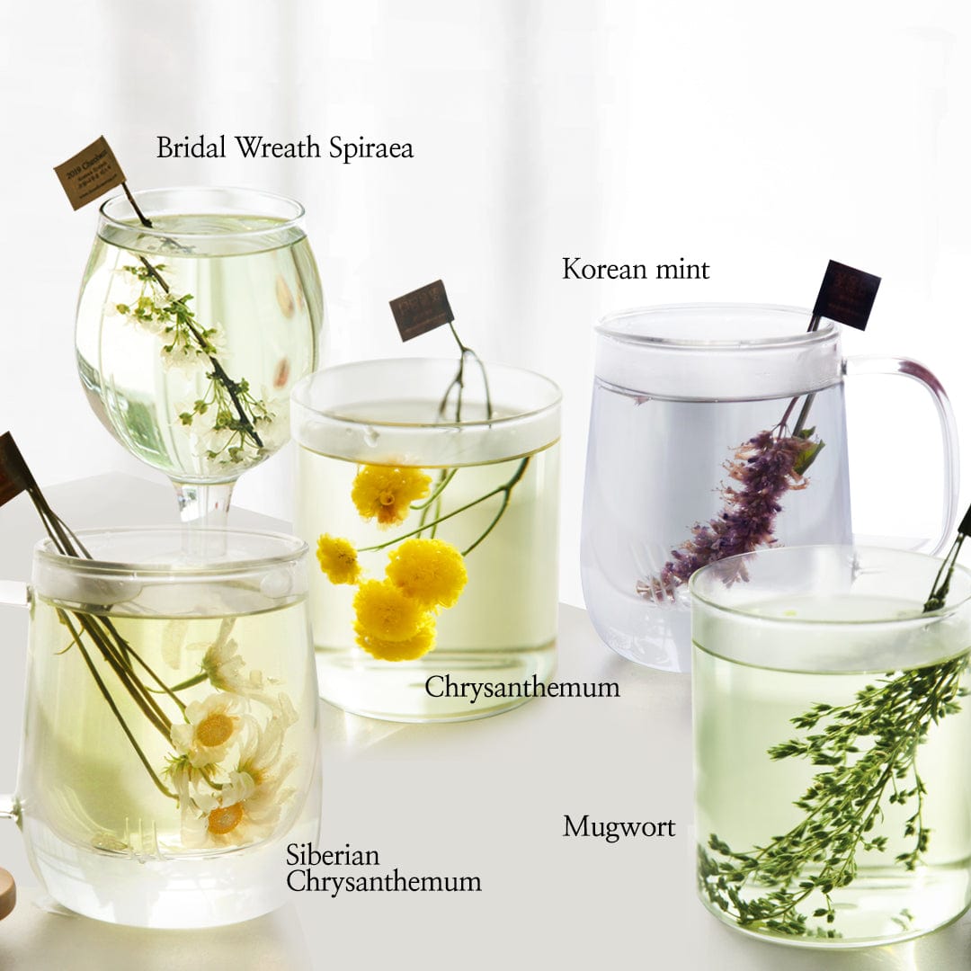 KKOKDAM KKOKDAM 5 Kinds of Flower tea sticks Gift Collection