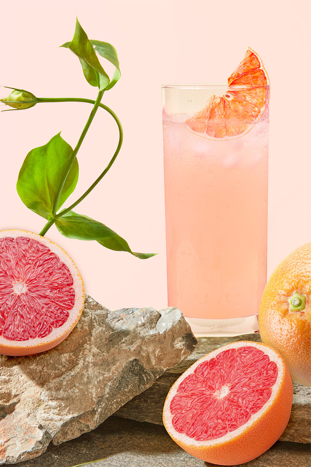 Kombucha